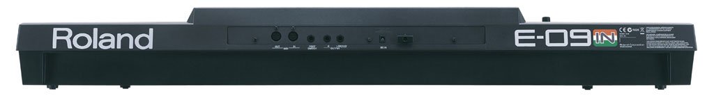 Roland E-09 Interactive Arranger - Image 5