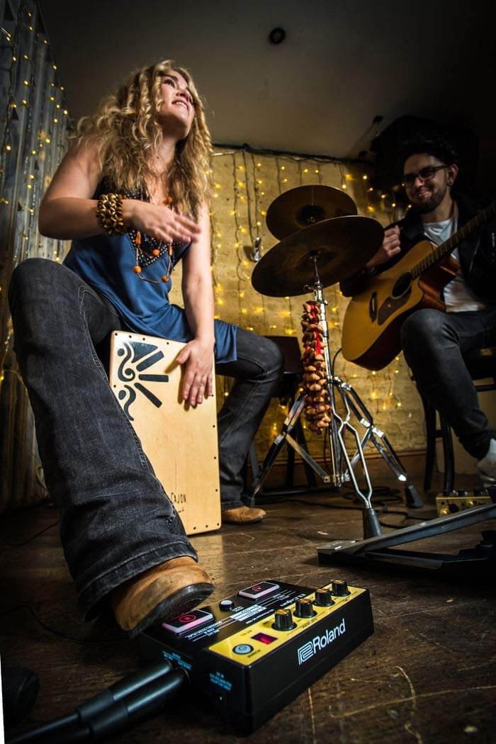 Roland EC-10M ELCajon Mic Processor - Image 5