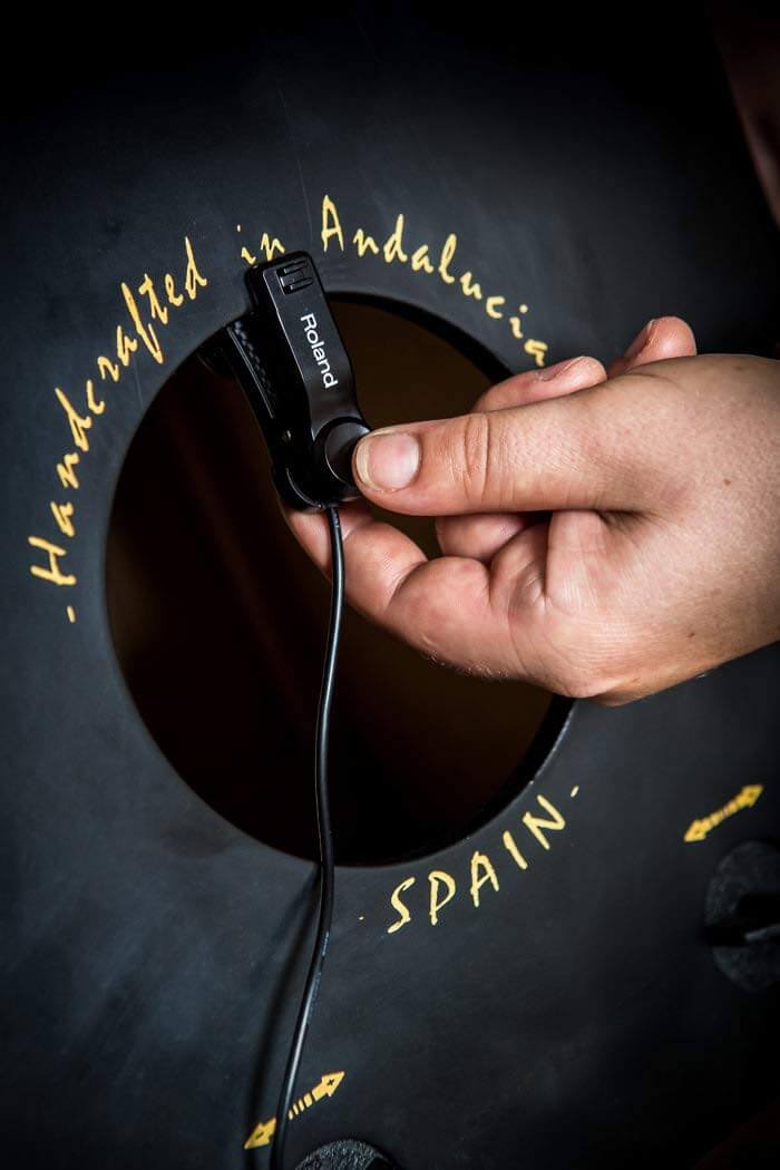 Roland EC-10M ELCajon Mic Processor - Image 10