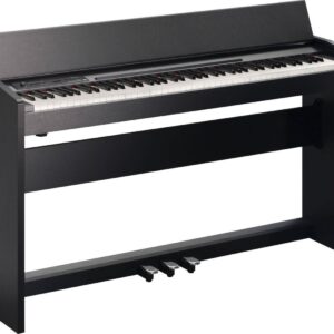 Roland F-120-SB Digital Piano black