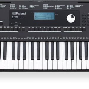 Roland E-X20 Arranger Keyboard Price, Specifications & Reviews in India